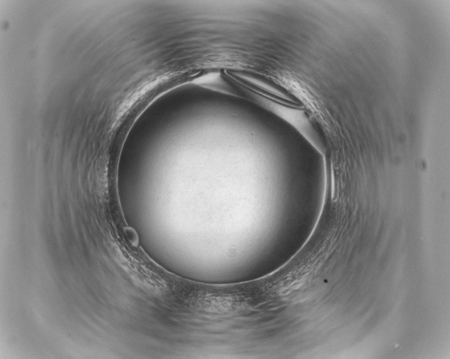 X0000086970531200704231518