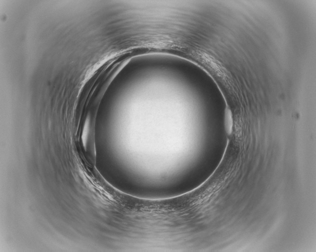 X0000086970532200704231518