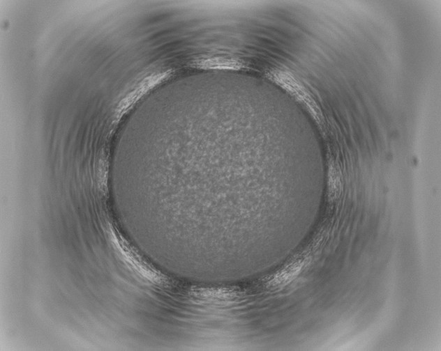 X0000086970533200704231518