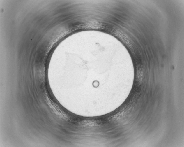 X0000086970534200704231518