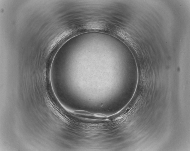 X0000086970535200704231518