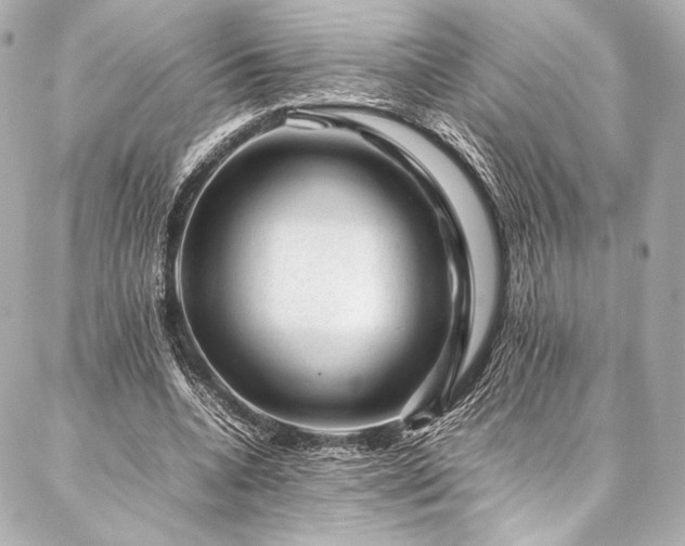 X0000086970536200704231518