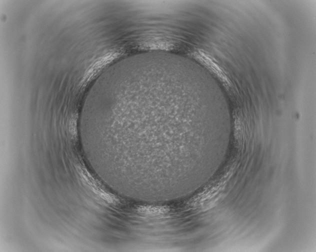 X0000086970537200704231518