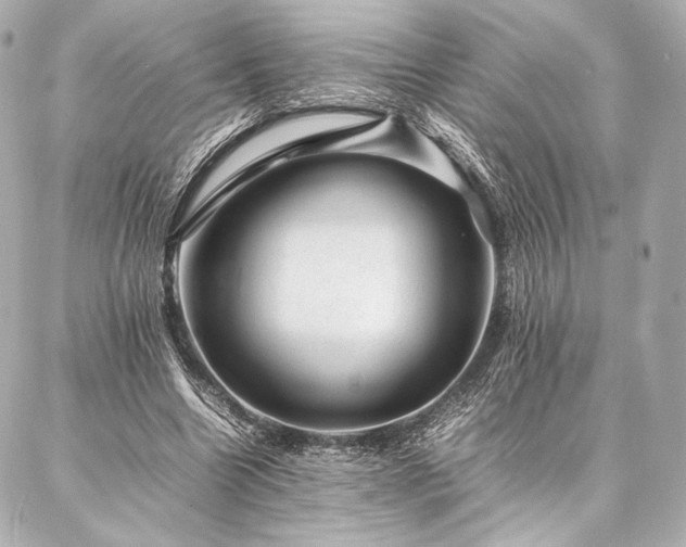 X0000086970538200704231518