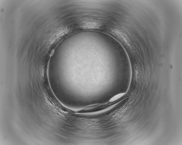 X0000086970539200704231518