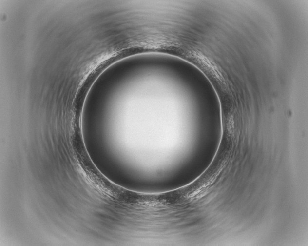 X0000086970540200704231518