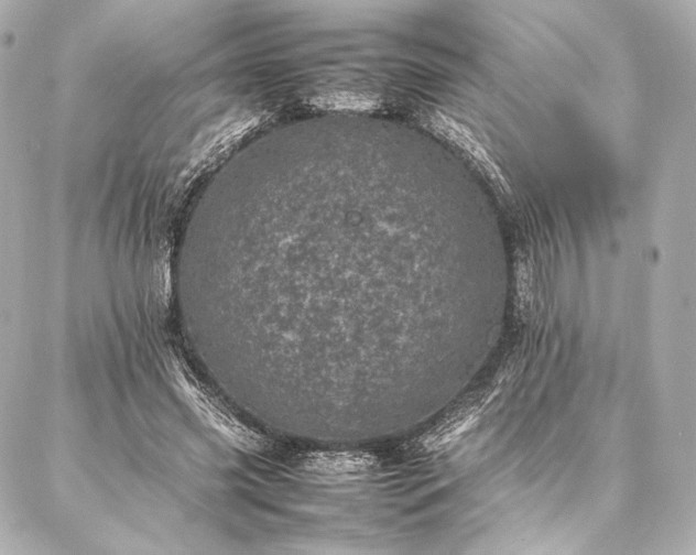 X0000086970541200704231518