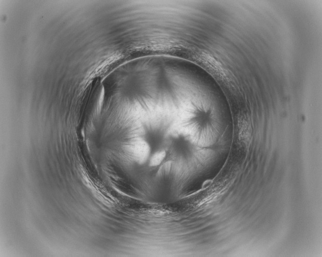 X0000086970542200704231518