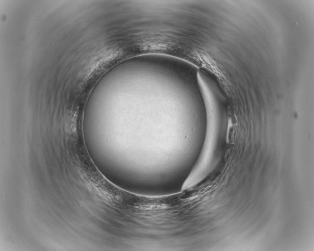 X0000086970543200704231518