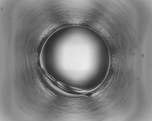 X0000086970544200704231518