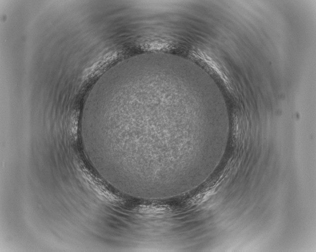 X0000086970545200704231518