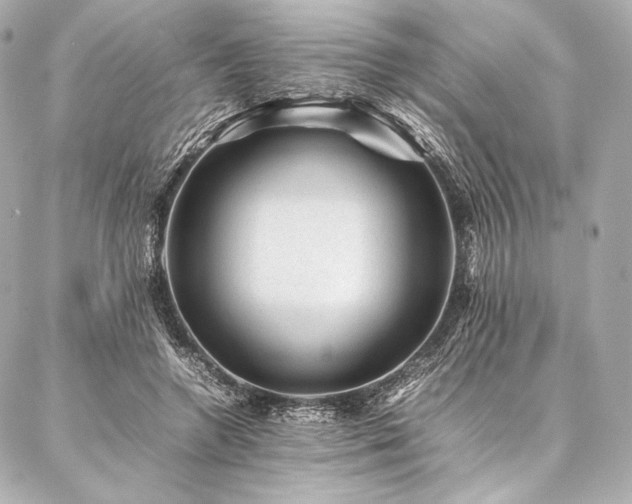 X0000086970546200704231518