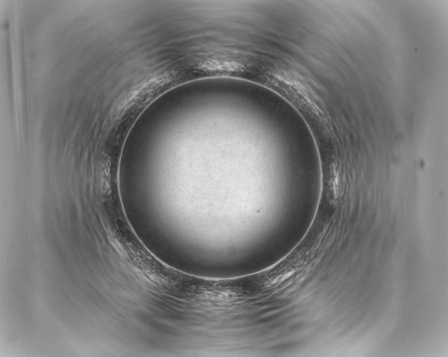 X0000086970547200704231518