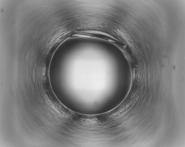 X0000086970548200704231518