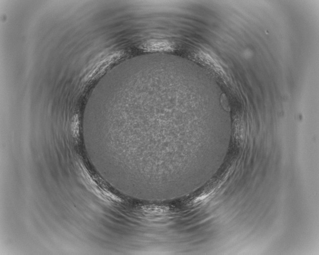 X0000086970549200704231518