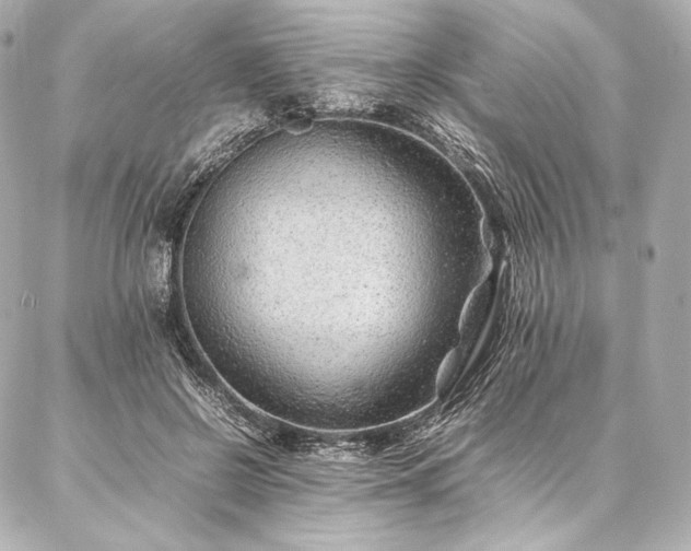 X0000086970550200704231518