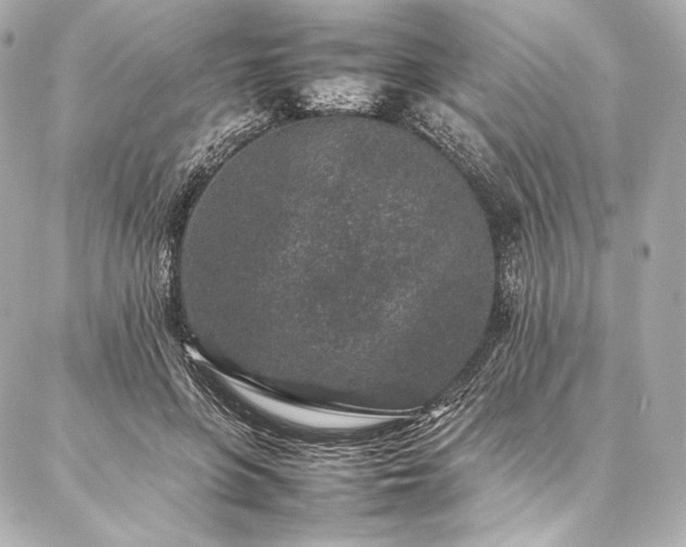 X0000086970551200704231518