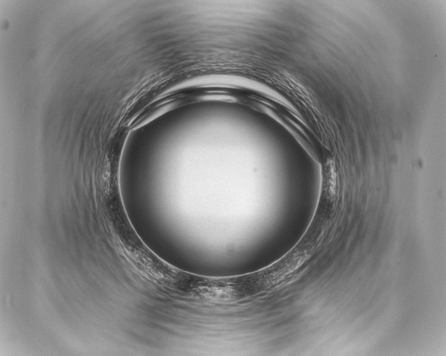 X0000086970552200704231518