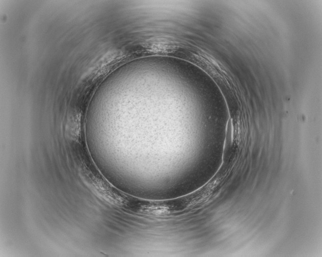 X0000086970554200704231518