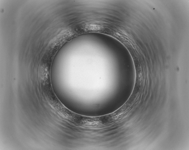 X0000086970555200704231518