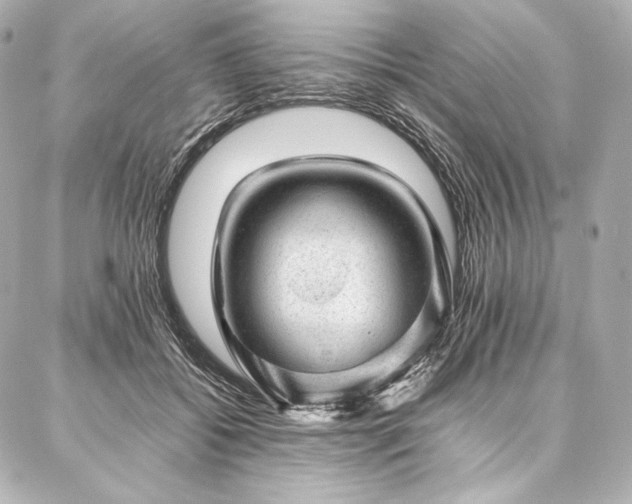 X0000086970556200704231518