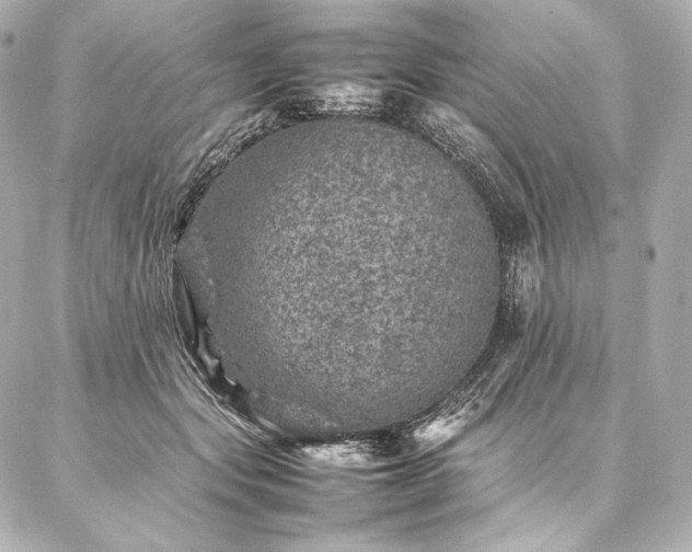 X0000086970557200704231518