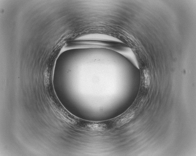 X0000086970558200704231518