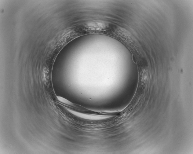 X0000086970559200704231518