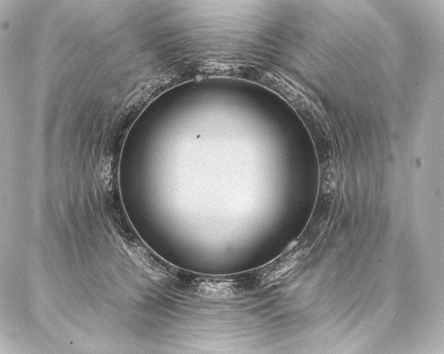 X0000086970560200704231518