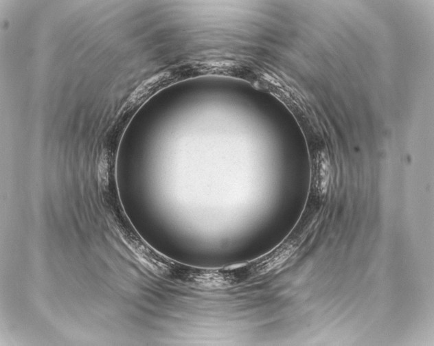 X0000086970562200704231518