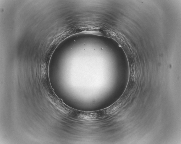 X0000086970563200704231518