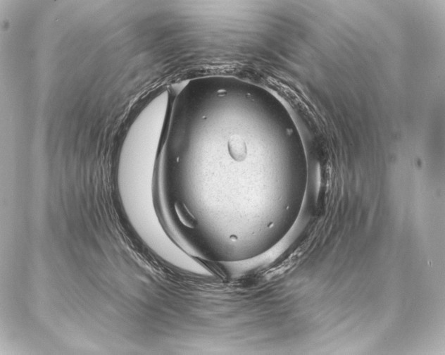 X0000086970564200704231518