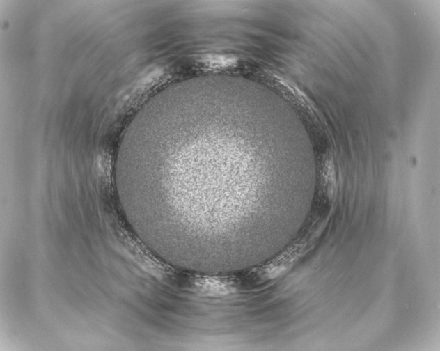 X0000086970565200704231518