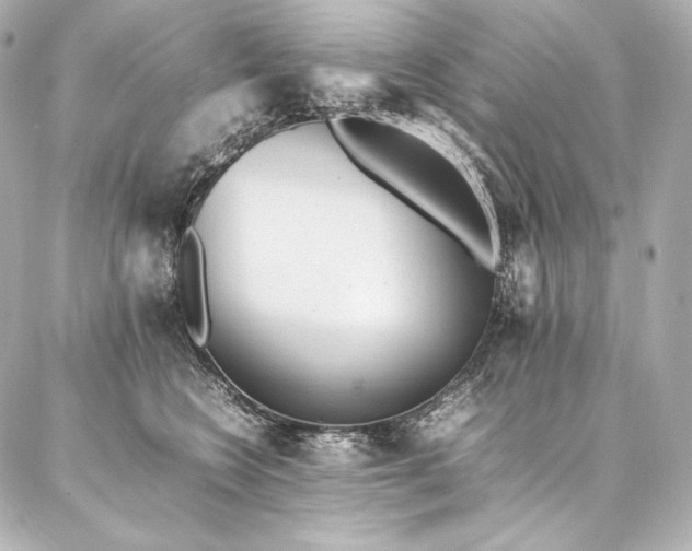 X0000086970566200704231518