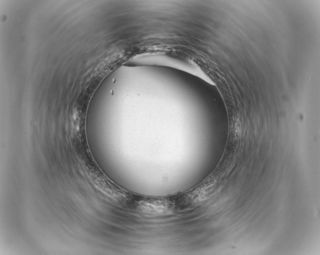 X0000086970567200704231518