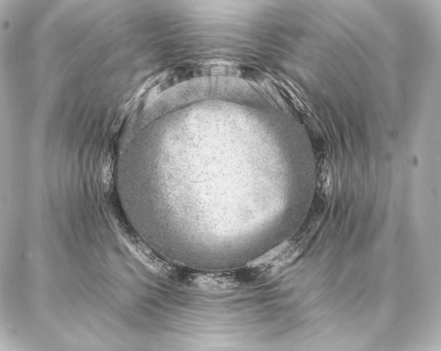 X0000086970568200704231518