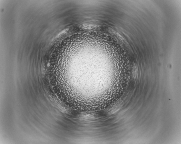 X0000086970569200704231518