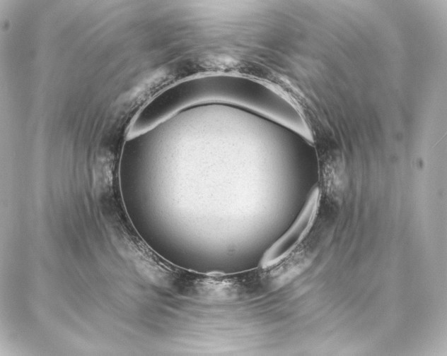 X0000086970570200704231518