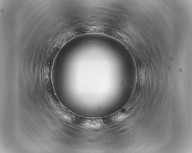 X0000086970571200704231518