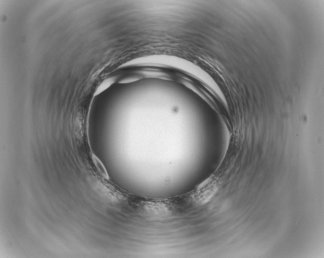 X0000086970572200704231518