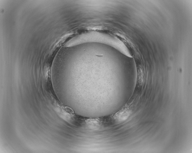 X0000086970574200704231518