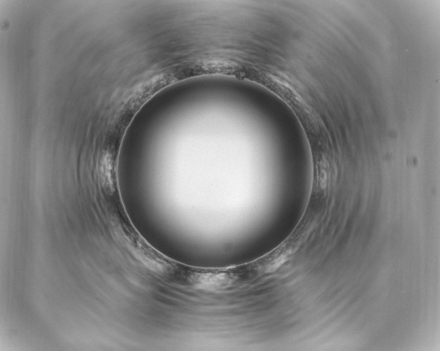 X0000086970575200704231518