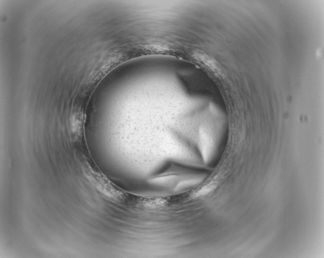 X0000086970576200704231518