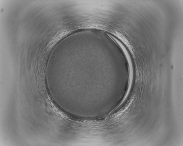 X0000086970577200704231518