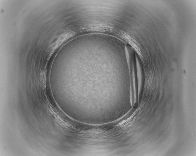 X0000086970578200704231518