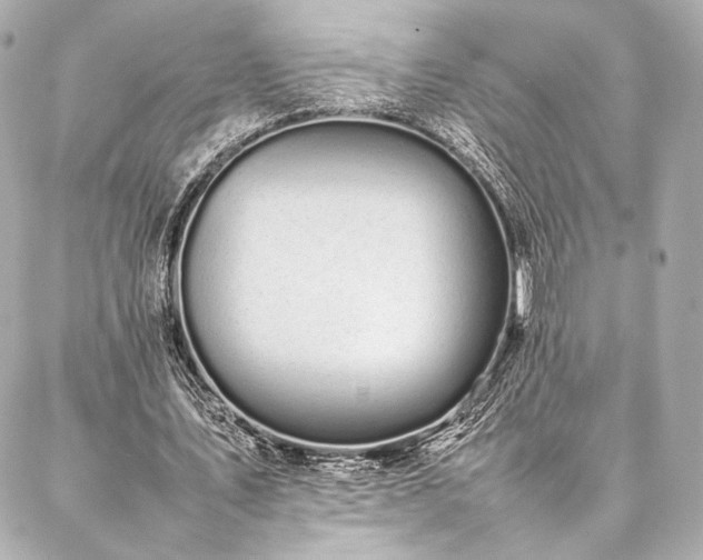 X0000086970579200704231518