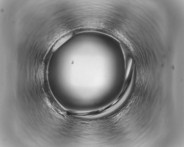 X0000086970580200704231518