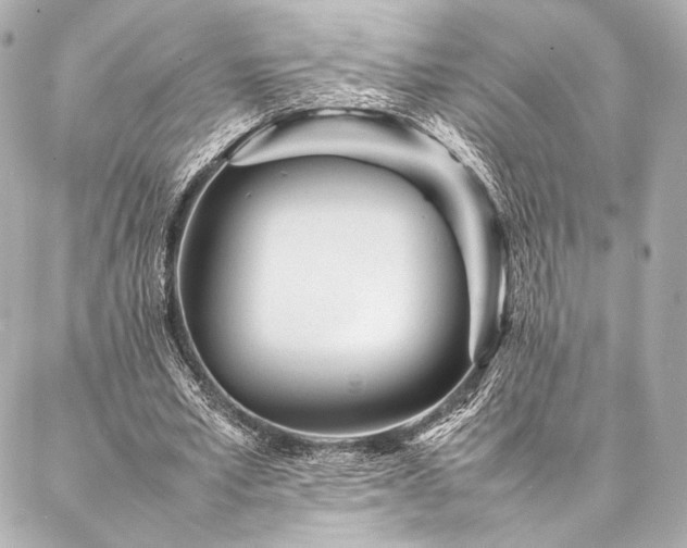 X0000086970581200704231518