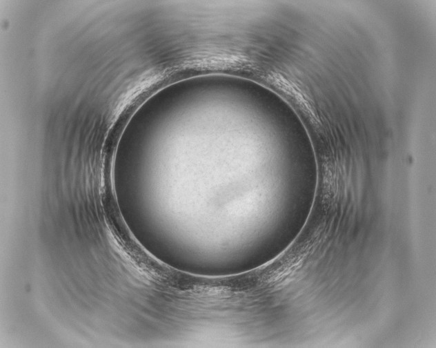 X0000086970582200704231518