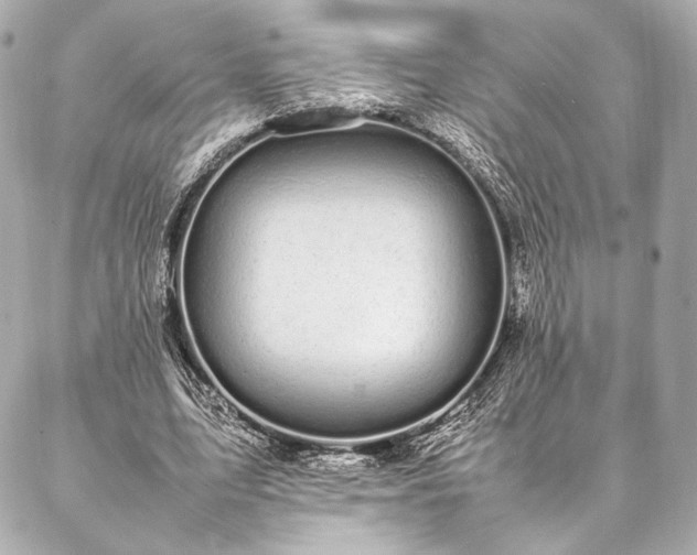 X0000086970583200704231518